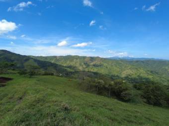 Se vende amplia finca de 26 hectáreas en Colon San José 23-3180