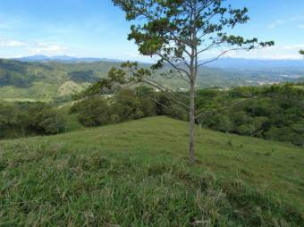 Se vende amplia finca de 26 hectáreas en Colon San José 23-3180