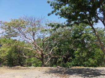 Se vende gran lote de 36,5 Hectáreas en Nosara Guanacaste 23-2211