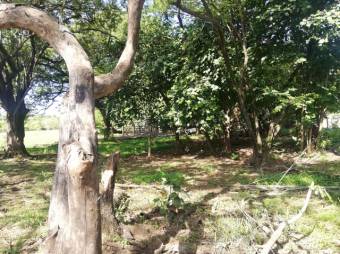 Se vende gran lote de 36,5 Hectáreas en Nosara Guanacaste 23-2211