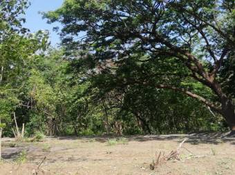 Se vende gran lote de 36,5 Hectáreas en Nosara Guanacaste 23-2211