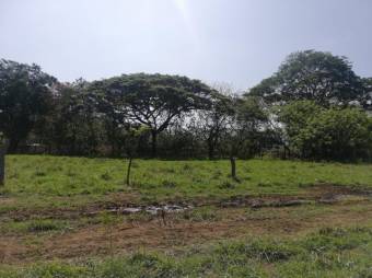 Se vende gran lote de 36,5 Hectáreas en Nosara Guanacaste 23-2211