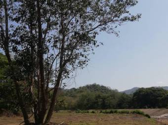 Se vende gran lote de 36,5 Hectáreas en Nosara Guanacaste 23-2211