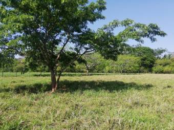 Se vende gran lote de 36,5 Hectáreas en Nosara Guanacaste 23-2211