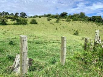 Se vende gran lote con uso de suelo mixto en San Nicolas Cartago 25-338