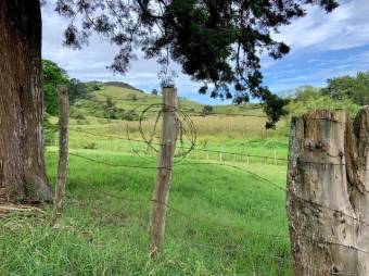 Se vende gran lote con uso de suelo mixto en San Nicolas Cartago 25-338