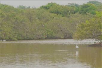 Venta de Lote en Garabito, Puntarenas. RAH 25-818