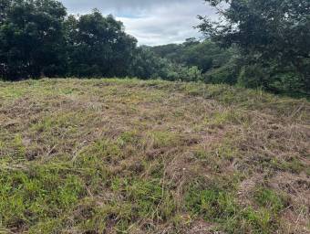 Venta de Lote en Santa Cruz, Guanacaste. RAH 25-811