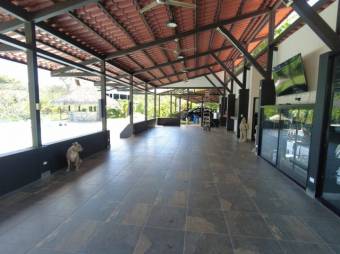 Se vende propiedad con lote de 5000m2 Orotina Alajuela A23-1852, $ 1,600,000, 10, Alajuela, Orotina