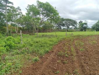 EN REMATE Finca en Upala, Alajuela