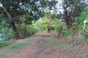 Venta de Lote en Hojancha, Guanacaste. RAH 25-859