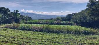 Terreno con vista panoramica, Concepcion de San Rafael, 6,883mtrs2
