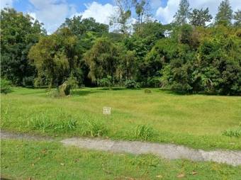 VENTA DE LOTES, SARAPIQUI, HORQUETAS, CONDOMINIO CHIRRIPÓ - 7432183