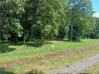 VENTA DE LOTES, SARAPIQUI, HORQUETAS, CONDOMINIO CHIRRIPÓ - 7432183