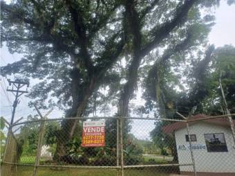 VENTA DE LOTES, SARAPIQUI, HORQUETAS, CONDOMINIO CHIRRIPÓ - 7432183