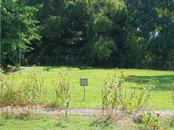 VENTA DE LOTES, SARAPIQUI, HORQUETAS, CONDOMINIO CHIRRIPÓ - 7432183