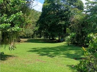 VENTA DE LOTES, SARAPIQUI, HORQUETAS, CONDOMINIO CHIRRIPÓ - 7432183