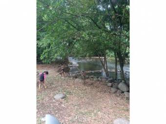 VENTA DE LOTES, SARAPIQUI, HORQUETAS, CONDOMINIO CHIRRIPÓ - 7432183