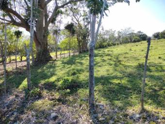 Se vende lote de 7200m2 en concepción de San Rafael 25-1563