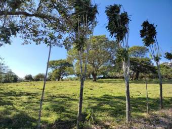 Se vende lote de 7200m2 en concepción de San Rafael 25-1563
