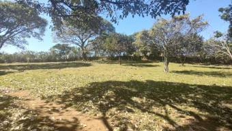 Se vende lote de 7200m2 en concepción de San Rafael 25-1563