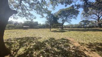 Se vende lote de 7200m2 en concepción de San Rafael 25-1563