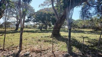 Se vende lote de 7200m2 en concepción de San Rafael 25-1563
