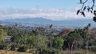 Se vende lote de 7200m2 en concepción de San Rafael 25-1563