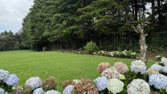 Se vende lote de 3,881m2 en San Rafael de Heredia 25-1029