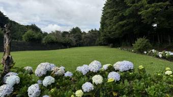 Se vende lote de 3,881m2 en Se vende lote de 3,881m2 en