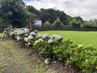 Se vende lote de 3,881m2 en Se vende lote de 3,881m2 en