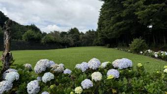 Se vende lote de 3,881m2 en Se vende lote de 3,881m2 en