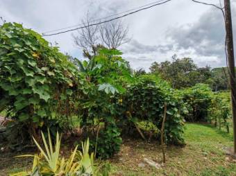 MLS-26-831 VENTA CASA SAN MARTIN TURRIALBA