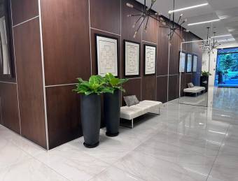 APARTMENT FOR RENT, SAN JOSÉ, NUNCIATURA, TRIBCA CONDOMINIUM - 9571478