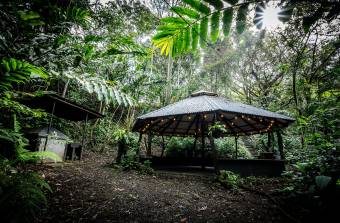 SALE OF FARM WITH FURNISHED HOUSE, GUANACASTE, TILARÁN, TEJONA - 9582295