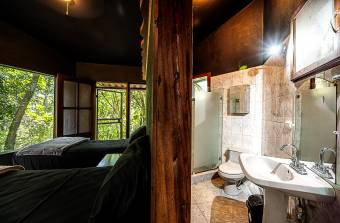 SALE OF FARM WITH FURNISHED HOUSE, GUANACASTE, TILARÁN, TEJONA - 9582295