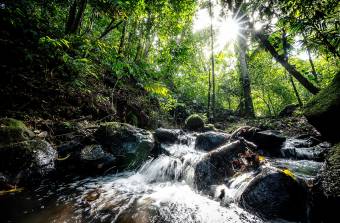 SALE OF FARM WITH FURNISHED HOUSE, GUANACASTE, TILARÁN, TEJONA - 9582295