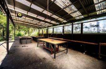 SALE OF FARM WITH FURNISHED HOUSE, GUANACASTE, TILARÁN, TEJONA - 9582295