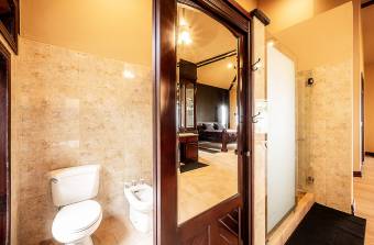 SALE OF FARM WITH FURNISHED HOUSE, GUANACASTE, TILARÁN, TEJONA - 9582295