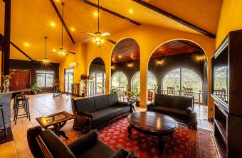 SALE OF FARM WITH FURNISHED HOUSE, GUANACASTE, TILARÁN, TEJONA - 9582295