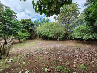 Se vende amplio lote de 3,500m2 en Concepción de Heredia 25-1922 