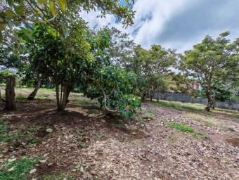 Se vende amplio lote de 3,500m2 en Concepción de Heredia 25-1922 