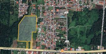 HIGH-DENSITY COMMERCIAL PROPERTY FOR SALE, LIMÓN, GUÁPILES - 9583357 HIGH-DENSITY COMMERCIAL PROPERTY FOR SALE, LIMÓN, GUÁPILES - 9583357