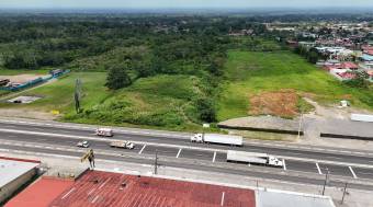 HIGH-DENSITY COMMERCIAL PROPERTY FOR SALE, LIMÓN, GUÁPILES - 9583357