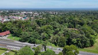 HIGH-DENSITY COMMERCIAL PROPERTY FOR SALE, LIMÓN, GUÁPILES - 9583360