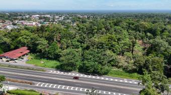 HIGH-DENSITY COMMERCIAL PROPERTY FOR SALE, LIMÓN, GUÁPILES - 9583360