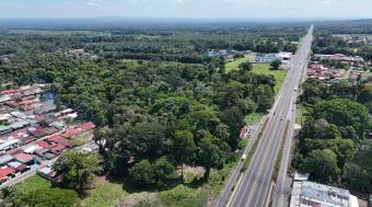 HIGH-DENSITY COMMERCIAL PROPERTY FOR SALE, LIMÓN, GUÁPILES - 9583360