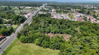 HIGH-DENSITY COMMERCIAL PROPERTY FOR SALE, LIMÓN, GUÁPILES - 9583360