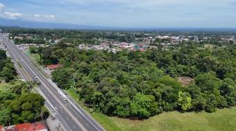 HIGH-DENSITY COMMERCIAL PROPERTY FOR SALE, LIMÓN, GUÁPILES - 9583360
