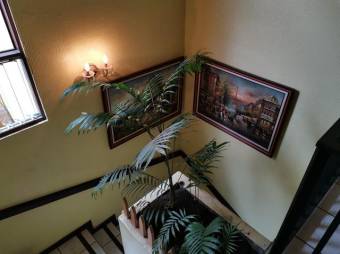 Se vende espaciosa casa de 2 plantas en San Francisco Heredia 25-1017